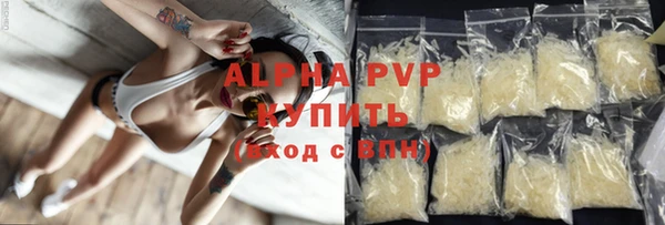 гидра Абаза
