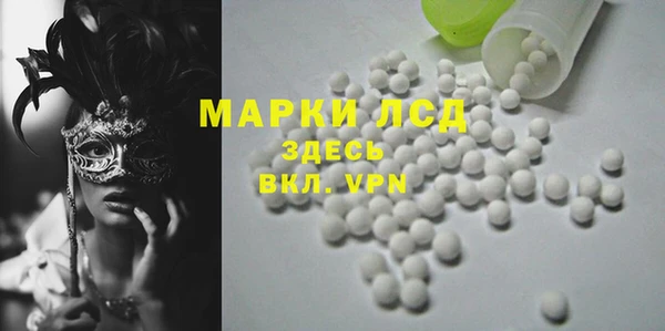 гидра Абаза