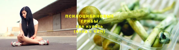 гидра Абаза