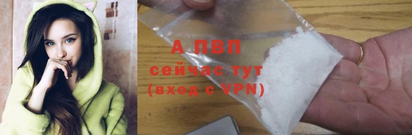 гидра Абаза
