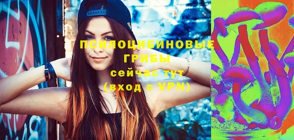 гидра Абаза