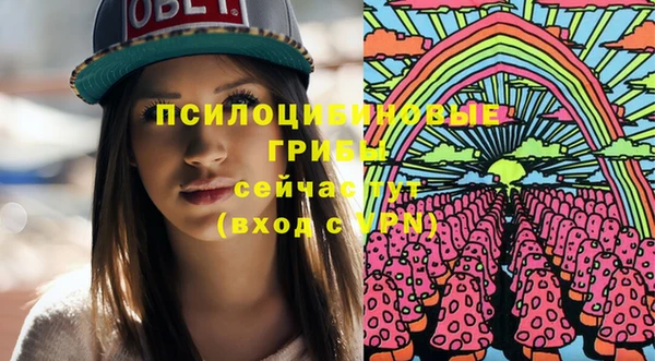 гидра Абаза