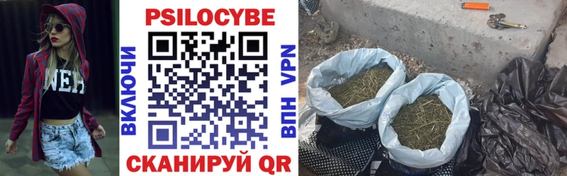 Псилоцибиновые грибы Cubensis Нефтегорск